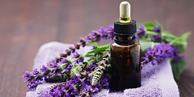 Lavender Body Oil Skin Benefits